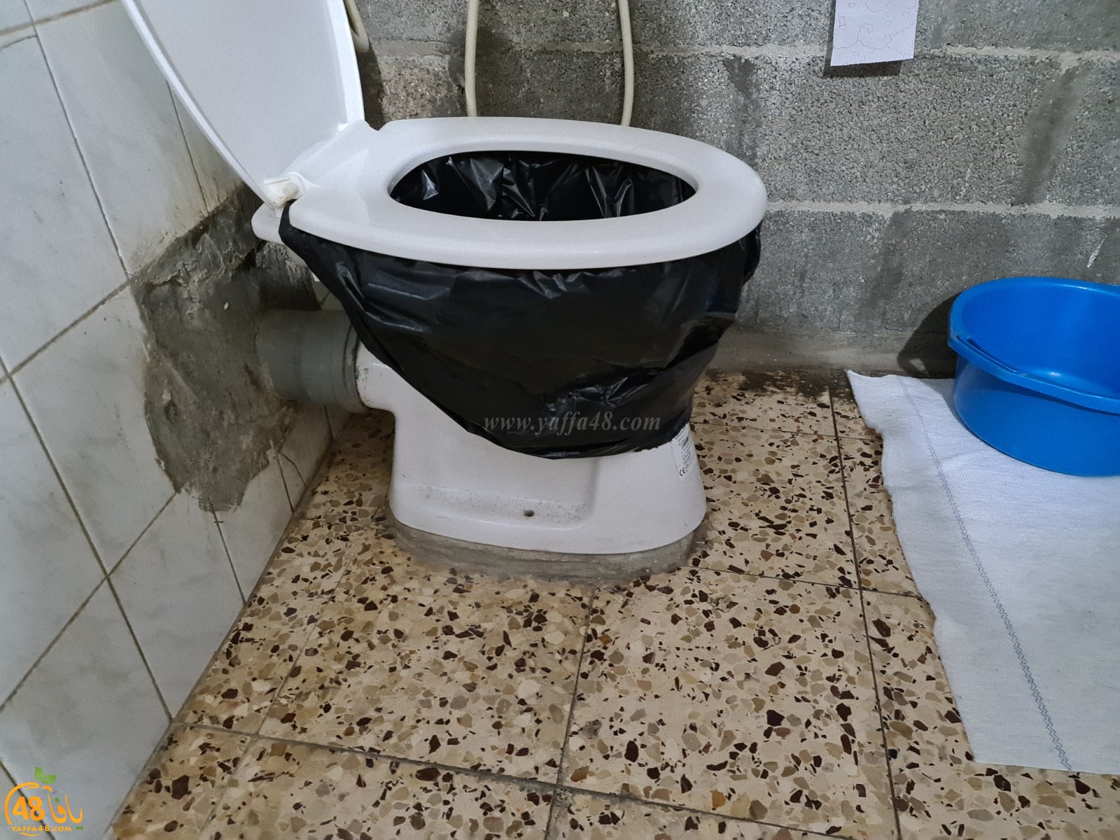 WhatsApp Image 2020-12-13 at 10.29.50 AM.jpeg.jpg.jpg